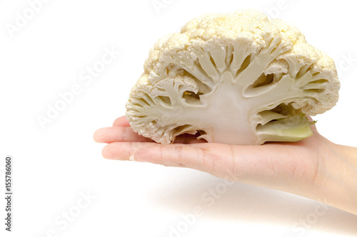 Obraz na płótnie Chef is holding the cauliflower by hand on white background isolated w salonie