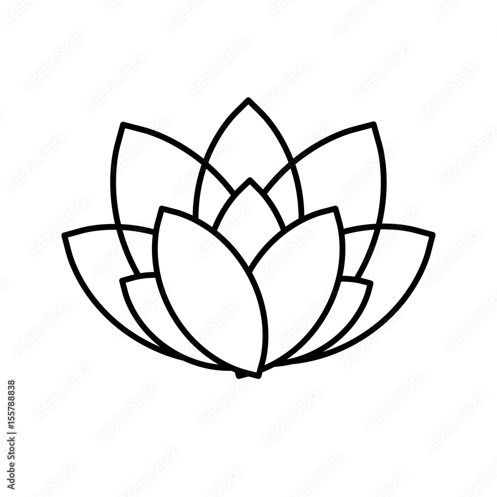 Fototapeta premium beautiful flower icon over white background. vector illustration
