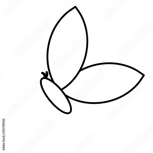 butterfly icon over white background. vector illustration