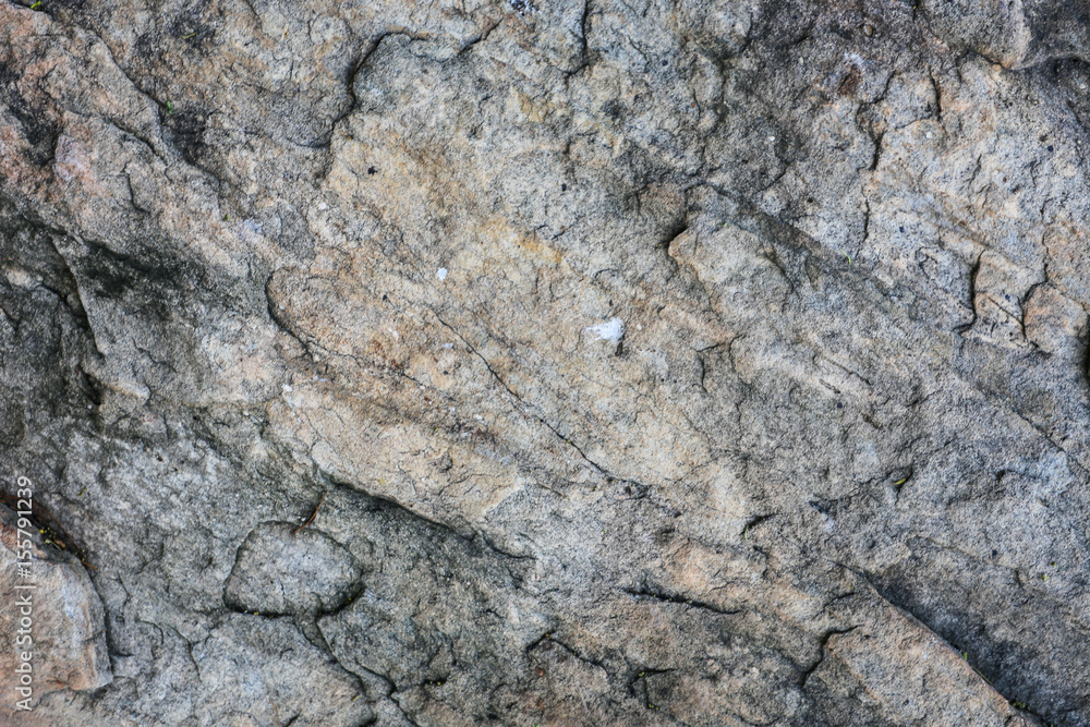 Fototapeta premium rocky ground