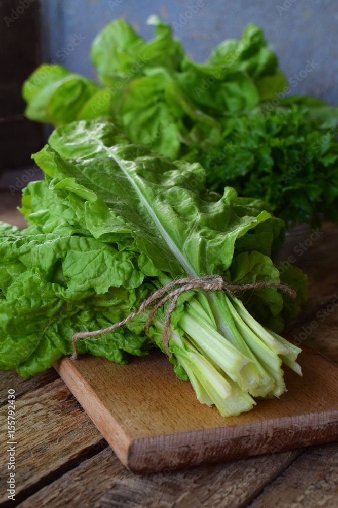 Freshly organic picked green swiss chard on wooden background. Spring green herbs Freshly organic picked green swiss chard on wooden background. Spring green herbs