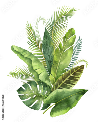 Tablou pe pânză Watercolor bouquet tropical leaves and branches isolated on white background