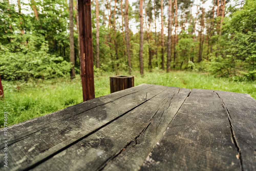 wooden table in forest background 