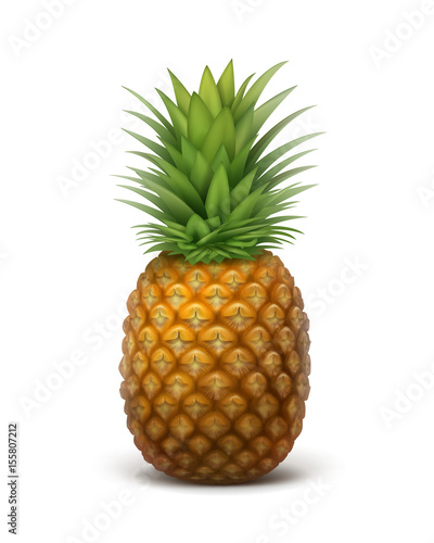 Whole ripe pineapple