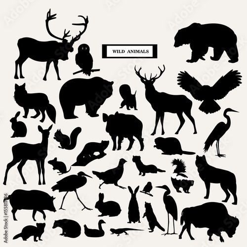 Vector silhouette of wild animals