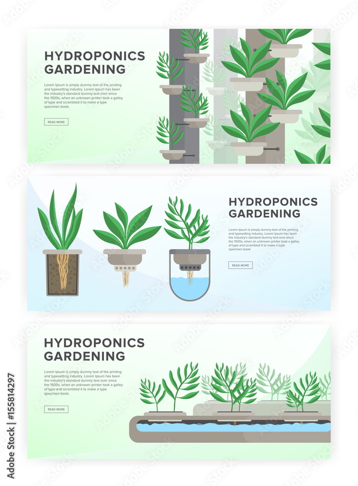 Hydroponic system, gardening technology. Collection of horizontal banners with place for text.
