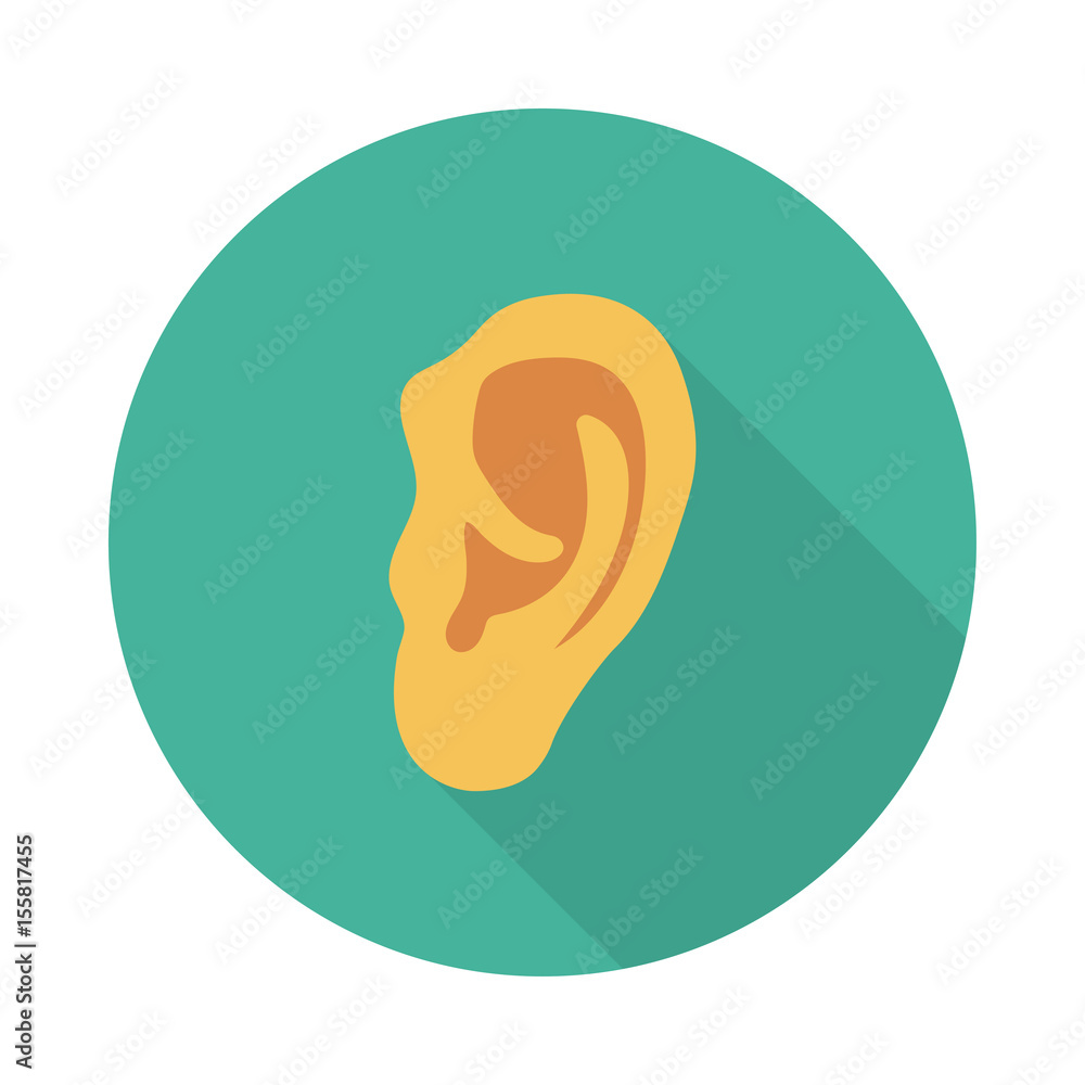   human ear 