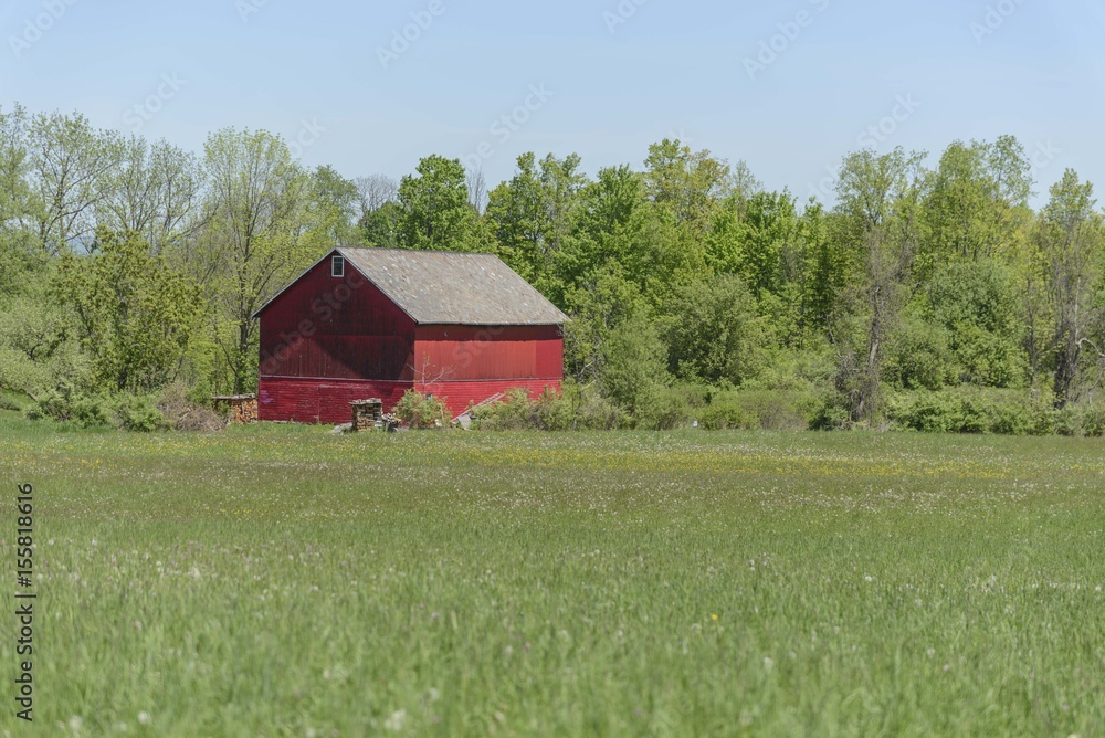 red barn in field of wildflowers red barn in field of wildflowers
