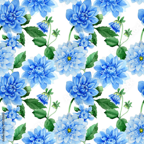 Wildflower blue dahila flower pattern in a watercolor style isolated.