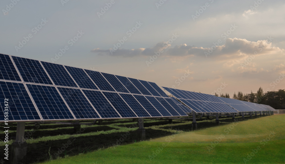 Solar panels face sunlight on green field