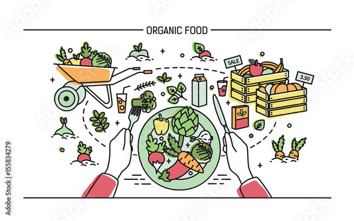 Horizontal banner with organic food. Composition with vegetables on plate, different fresh products, greenery, fruit, drinks. Colorful vector illustration in lineart style.