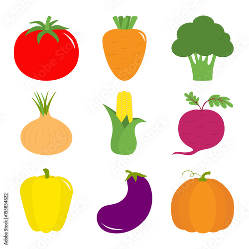 Vegetable icon set. Pepper, tomato, carrot, broccoli, onion, sweet corn, beet, eggplant, aubergine, pumpkin. Fresh farm healthy food. Education card for kids. Flat design. White background. Isolated.