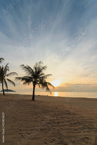 Beach sand and coconut tree with sunrise in morning