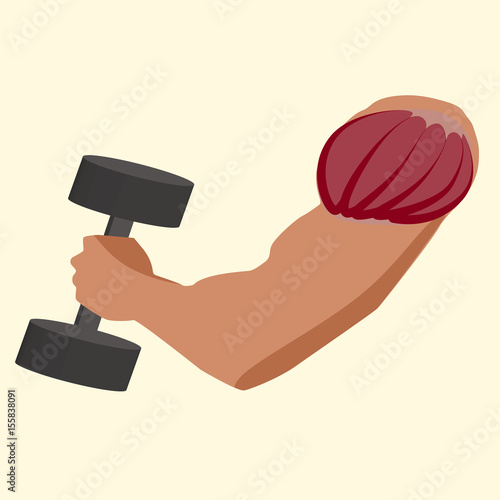 Antagonistic muscle
