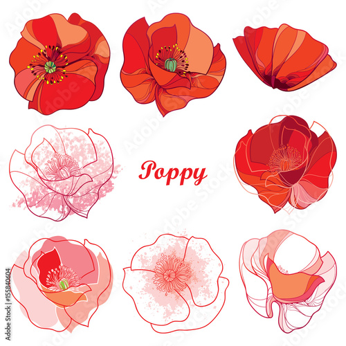 Vector set with outline Poppy flower. Ornate flowers in red, white and pink isolated on white background. Floral elements in contour style with poppy for summer design. Symbol of Remembrance Day. © bokasana