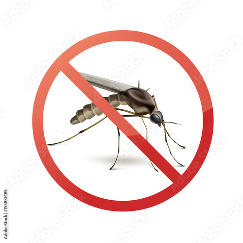 Stop sign on mosquito