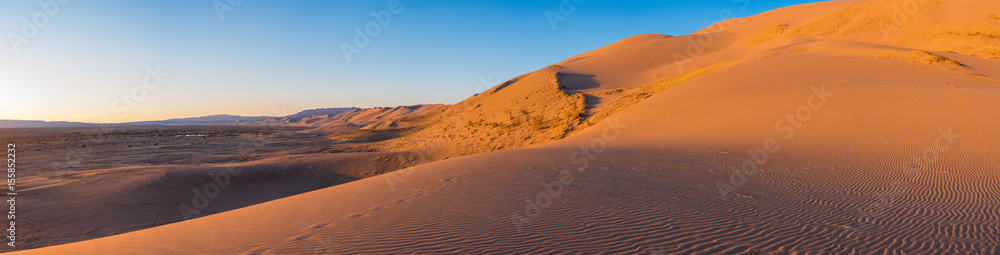 beautiful evening landscape in desert