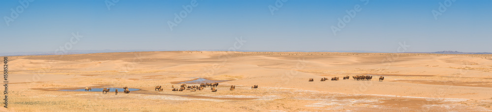 close-up of beautiful sunlit sand in desert 
