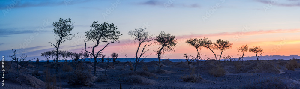 silhouettes of trees on hill with orange sky on background
silhouettes of trees on hill with orange sky on background