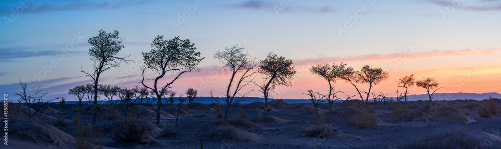 silhouettes of trees on hill with orange sky on background 
