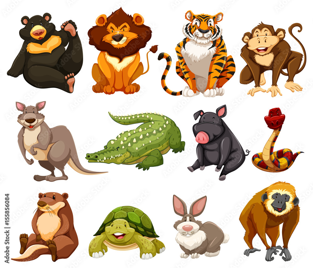Different kinds of jungle animals Stock Vector | Adobe Stock