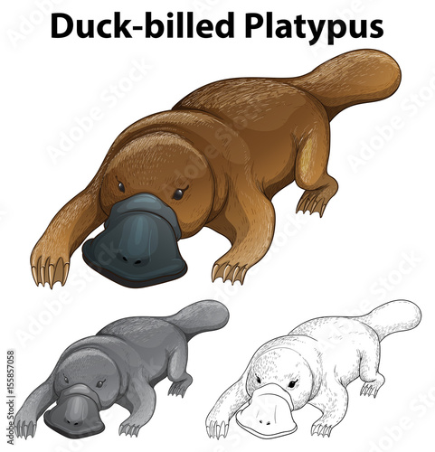 Animal outline for duck-billed platypus