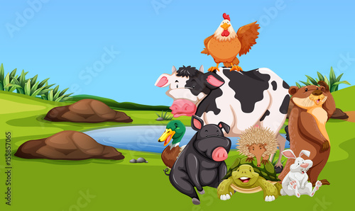 Farm animals on the farmyard