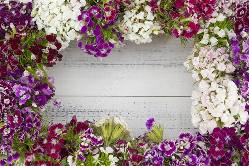 Sweet william flowers background with square copy space