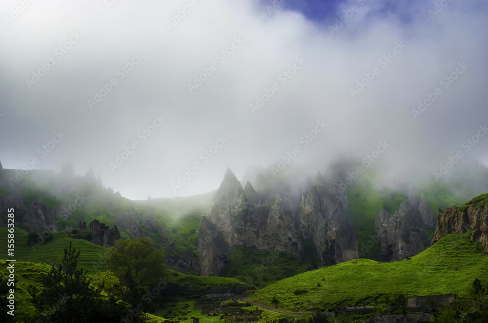 Forested mountain slope in low lying cloud with the green trees in mist in a scenic landscape view