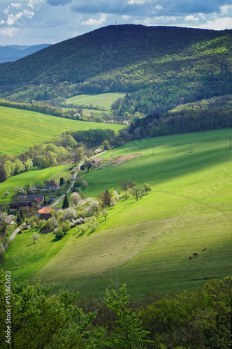 Farmland 