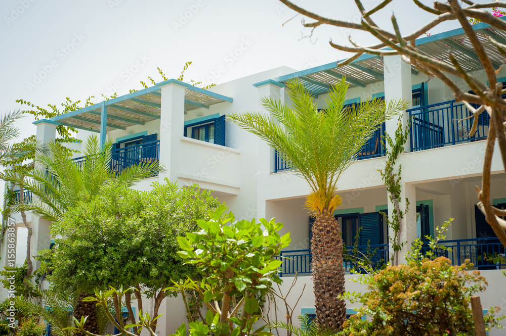 Greek architecture - white buildings, sea and blue windows, tree and flower