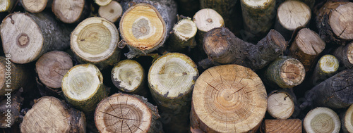 Rustic style background close up of logs of trees in nature. A lot of cutted logs. Texture wood