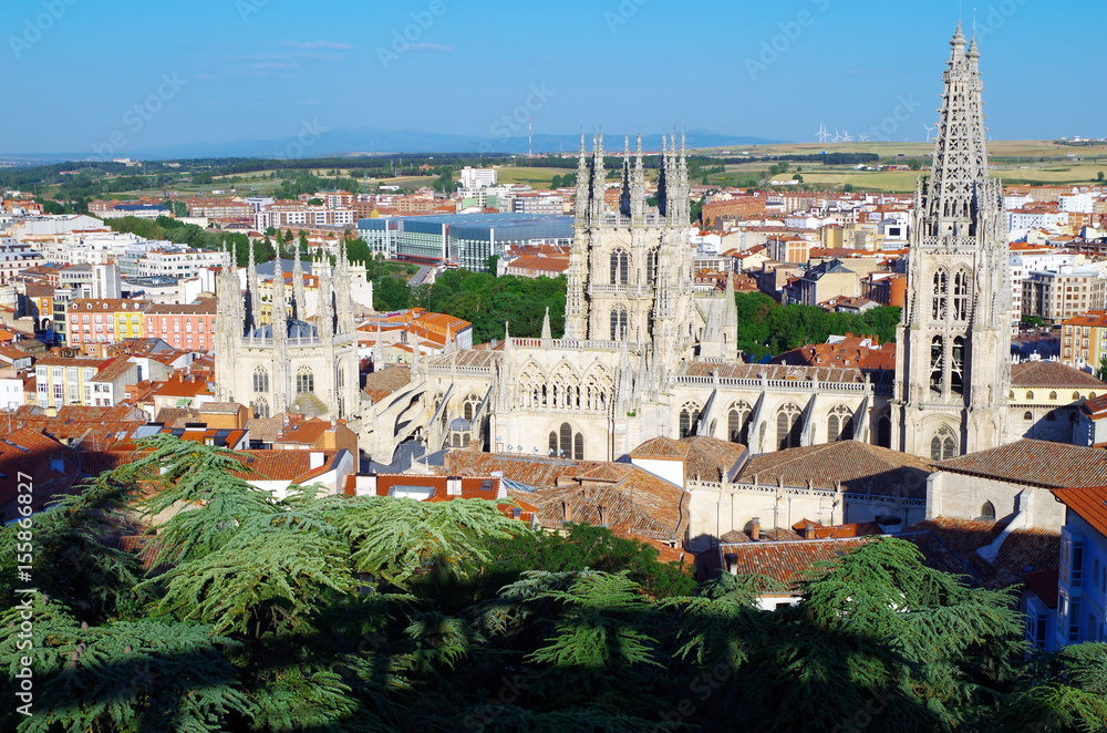 Fototapeta premium Arte y naturaleza