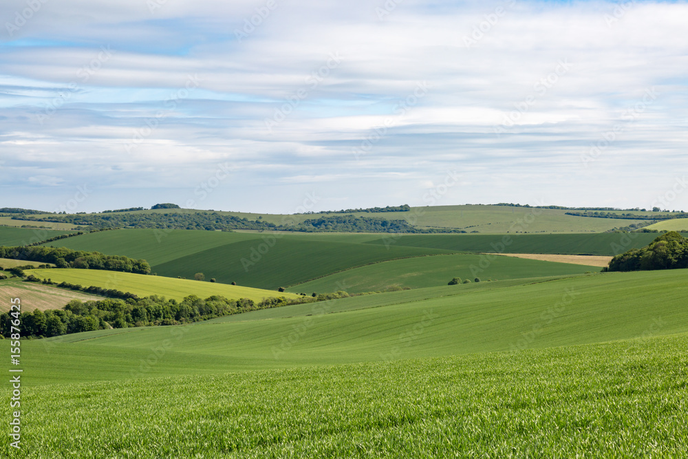 Fototapeta premium Patchwork Landscape