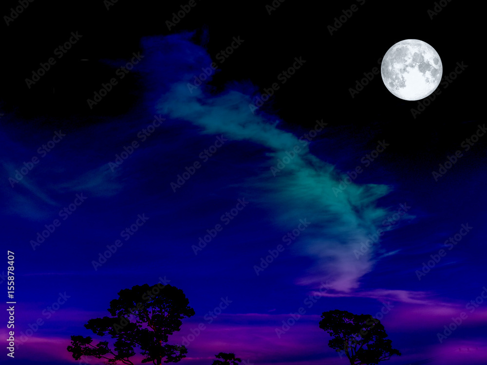 Fototapeta premium super moon on the dark night sky over tree