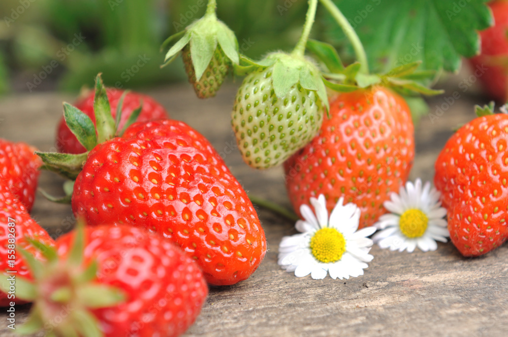 fraises du jardin sur planche en bois fraises du jardin sur planche en bois