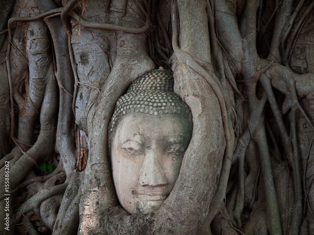 Buddha head in tree root. Thailand.