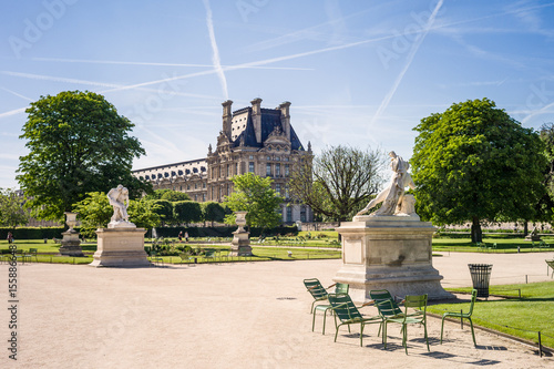 Fototapeta View of the Tuileries garden in Paris by a sunny morning with the statues of the
