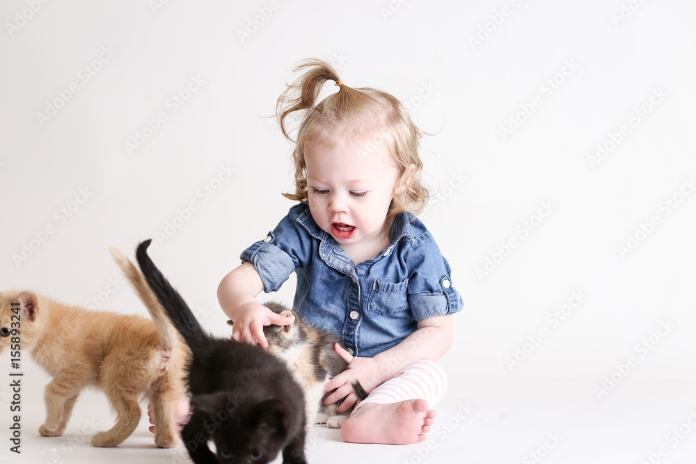 Cute toddle girl plays with baby kittens Cute toddle girl plays with baby kittens