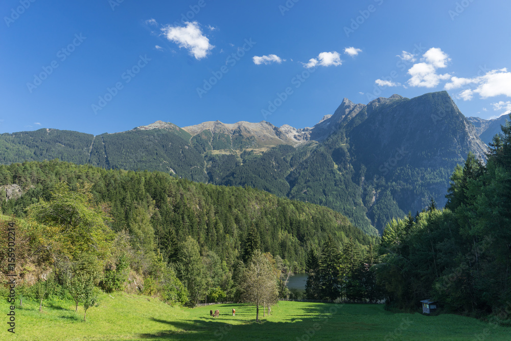 Landscape protection area Achstürze. Lake Piburger See, Tirol oldest nature preserves. Oetz alps, unique cultural mountains landscape, alps in the background. Ötztal valley.