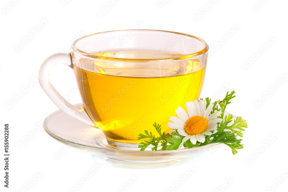Herbal tea with fresh chamomile flowers isolated on white background Herbal tea with fresh chamomile flowers isolated on white background