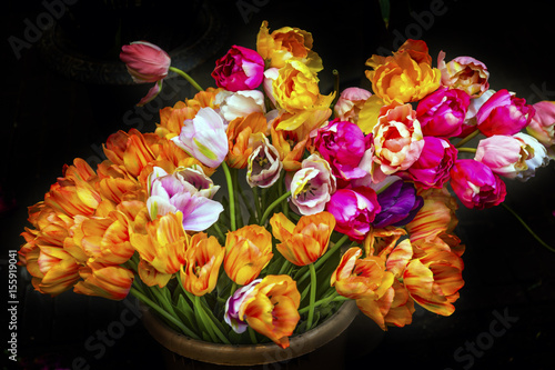 Orange Pink Tulips Flowers Bloemenmarket Flower Market Amsterdam Holland Netherlands