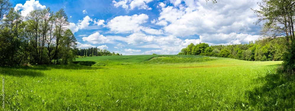 Summer landscape with forest and field in Czech Republic