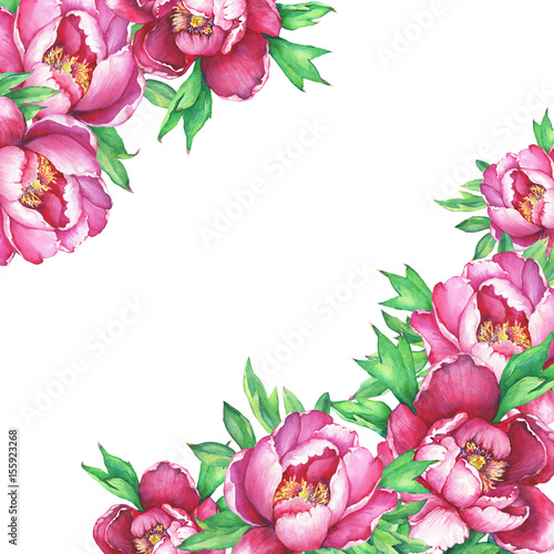 Banner with flowering pink peonies, isolated on white background. Watercolor hand drawn painting illustration.