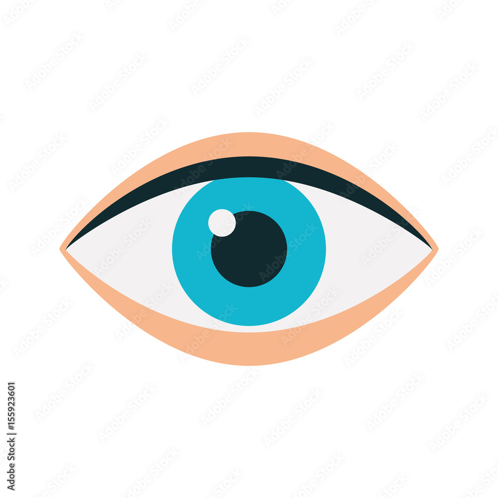 eye human isolated icon vector illustration design eye human isolated icon vector illustration design