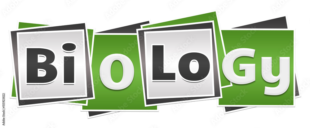 Biology Green Grey Blocks Biology Green Grey Blocks