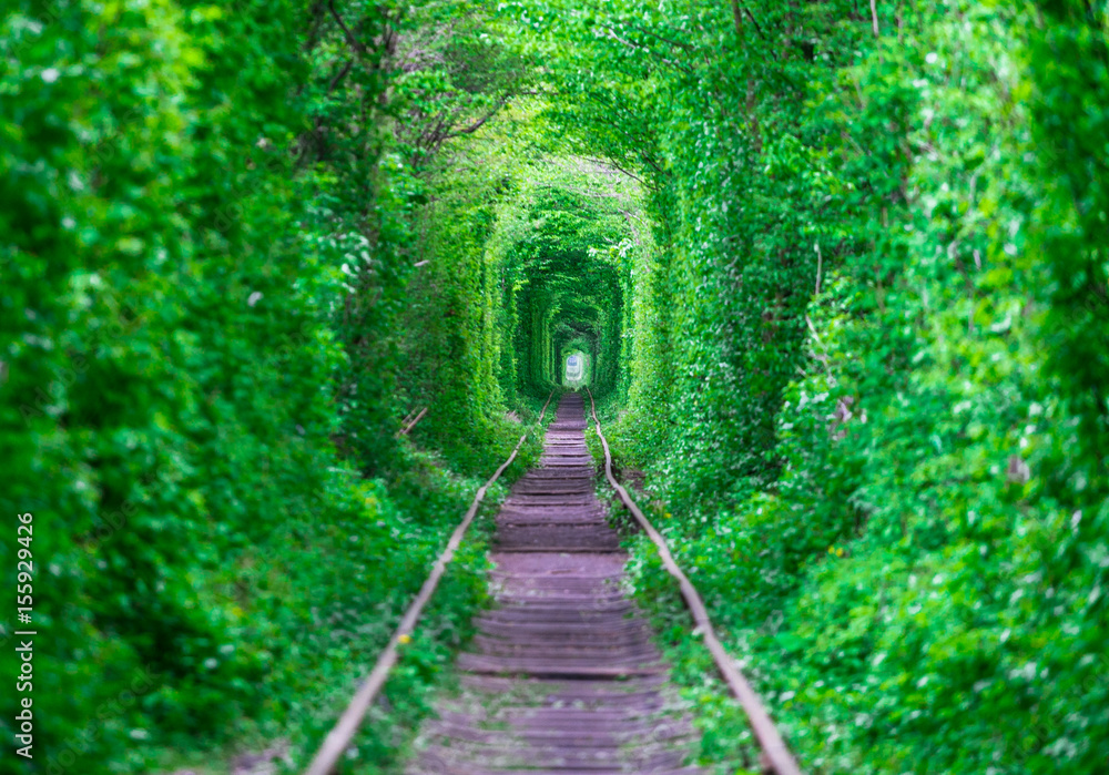 The guy with the girl gudlyayut railroad tunnel of love spring forest The guy with the girl gudlyayut railroad tunnel of love spring forest