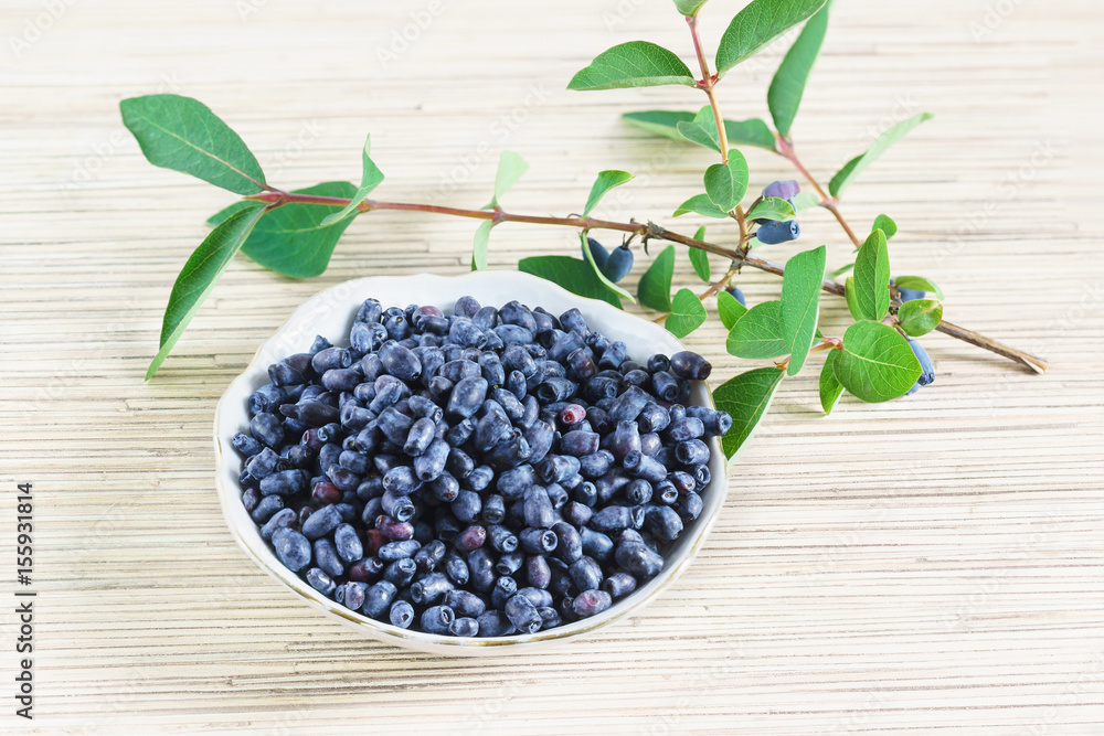A Cup of edible blue honeysuckle and the far Eastern branch on the table A Cup of edible blue honeysuckle and the far Eastern branch on the table