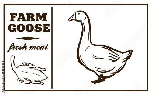 Label of meat products. Goose. Poultry meat
