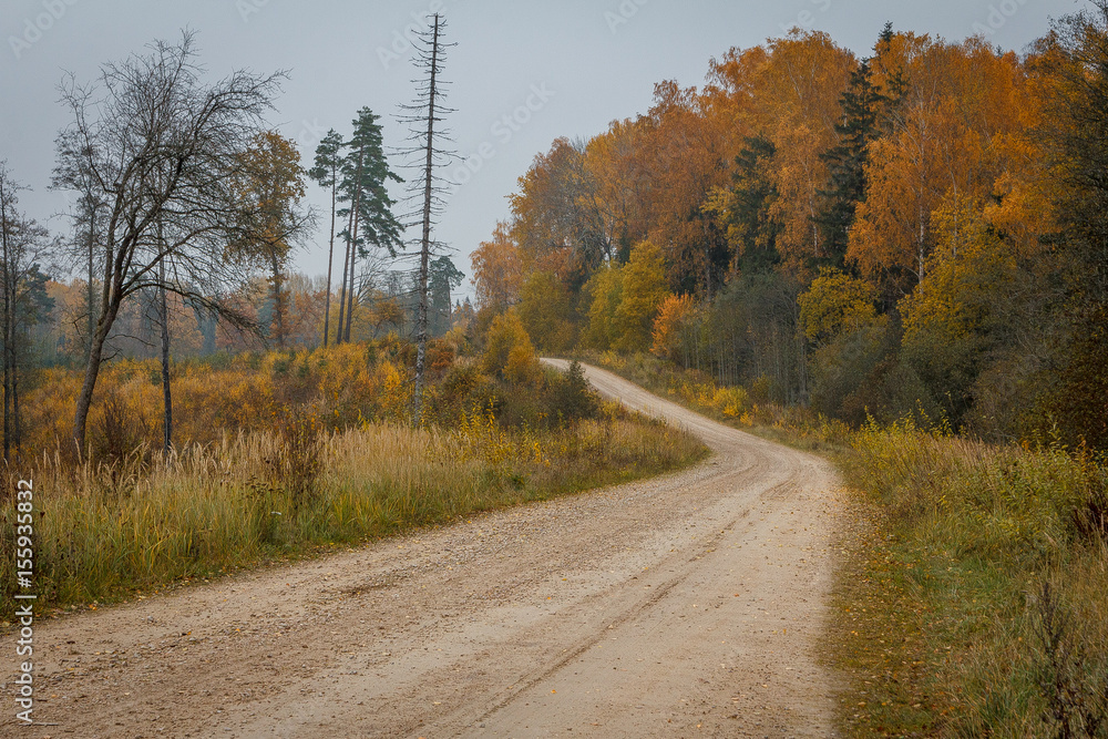 Fototapeta premium Country dirt road in autumn.